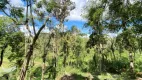 Foto 21 de Fazenda/Sítio com 4 Quartos à venda, 8000m² em Faxina, São José dos Pinhais