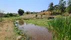 Foto 10 de Fazenda/Sítio com 2 Quartos à venda, 20000m² em Centro, Itapeva