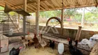 Foto 22 de Fazenda/Sítio com 5 Quartos à venda, 210000m² em Jardim ABC de Goias, Cidade Ocidental
