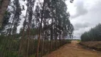 Foto 17 de Fazenda/Sítio com 6 Quartos à venda, 1000m² em Zona Rural, Paudalho