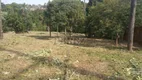 Foto 5 de Lote/Terreno à venda, 6000m² em Parque Jamaica, Londrina
