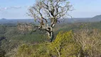 Foto 18 de Fazenda/Sítio à venda, 21000m² em São Luiz do Purunã, Balsa Nova