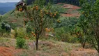 Foto 3 de Fazenda/Sítio à venda, 56000m² em Soido, Domingos Martins