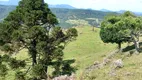 Foto 12 de Fazenda/Sítio à venda, 49000m² em Centro, Alfredo Wagner