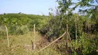 Foto 5 de Lote/Terreno à venda, 1000m² em VALE DO PIUM, Nísia Floresta