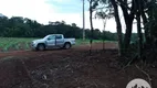 Foto 5 de Lote/Terreno à venda, 6000m² em Rio do Salto, Cascavel