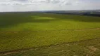 Foto 49 de Fazenda/Sítio com 3 Quartos à venda, 19500000m² em Area Rural de Planaltina, Brasília