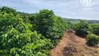 Foto 7 de Fazenda/Sítio à venda, 3000000m² em Centro, Divisa Nova