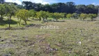 Foto 5 de Lote/Terreno à venda, 800m² em Mato Queimado, Gramado