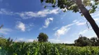 Foto 26 de Fazenda/Sítio com 3 Quartos à venda, 200m² em Zona Rural, Quadra