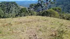 Foto 4 de Fazenda/Sítio à venda, 20000m² em Esquina, Urubici