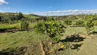 Foto 35 de Fazenda/Sítio com 3 Quartos à venda, 3000m² em Barreira, Conselheiro Lafaiete