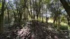 Foto 43 de Lote/Terreno à venda, 26000m² em , Monte Belo do Sul