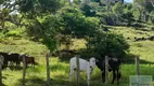 Foto 2 de Fazenda/Sítio com 2 Quartos à venda, 1000m² em Centro, Itapé