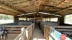 Foto 15 de Fazenda/Sítio com 3 Quartos à venda, 200m² em Zona Rural, Caetanópolis
