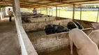 Foto 12 de Fazenda/Sítio com 3 Quartos à venda, 300m² em Aguacu, Cuiabá