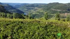 Foto 18 de Fazenda/Sítio à venda, 120000m² em Zona Rural, Monte Belo do Sul