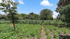 Foto 37 de Fazenda/Sítio com 3 Quartos à venda, 4500m² em Area Rural do Paranoa, Brasília