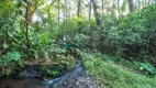 Foto 11 de Lote/Terreno à venda, 560000m² em Parque Residencial Itapeti, Mogi das Cruzes