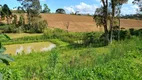 Foto 19 de Fazenda/Sítio à venda, 9075m² em Zona Rural, Quitandinha