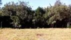 Foto 3 de Lote/Terreno à venda, 1000m² em Altos do Jardim Botanico, São Pedro