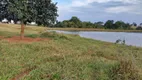 Foto 20 de Fazenda/Sítio à venda, 810000m² em Zona Rural, Itarumã