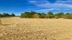 Foto 2 de Lote/Terreno à venda, 2000m² em Águas Claras, Viamão