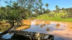 Foto 20 de Fazenda/Sítio com 6 Quartos à venda, 1200m² em RANCHO TRÊS LAGOAS, Igarapé