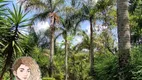 Foto 2 de Fazenda/Sítio com 4 Quartos à venda, 65000m² em Maracanã, Jarinu