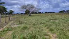 Foto 15 de Fazenda/Sítio com 3 Quartos à venda, 27000m² em Zona Rural, Monte Alegre