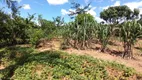 Foto 12 de Fazenda/Sítio com 3 Quartos à venda, 7700m² em Zona Rural, Petrolina de Goiás