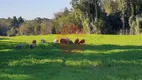 Foto 36 de Fazenda/Sítio com 5 Quartos à venda, 380m² em Zona Rural, Campo Alegre