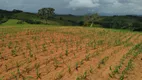 Foto 63 de Fazenda/Sítio com 3 Quartos à venda, 70m² em Zona Rural, São Lourenço