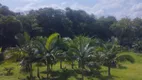 Foto 7 de Lote/Terreno à venda, 870m² em Ilha da Figueira, Jaraguá do Sul