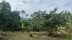 Foto 37 de Fazenda/Sítio com 3 Quartos à venda, 3000m² em América de Cima, Morretes