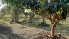 Foto 6 de Fazenda/Sítio com 3 Quartos à venda, 270m² em Taiacupeba, Mogi das Cruzes