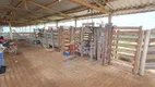 Foto 5 de Fazenda/Sítio com 2 Quartos à venda, 1145000m² em Zona Rural, Andrelândia