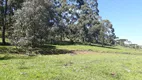 Foto 12 de Fazenda/Sítio com 10 Quartos à venda, 210000m² em Perico, São Joaquim