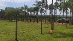 Foto 128 de Fazenda/Sítio com 5 Quartos à venda, 145000m² em Área Rural, Aragoiânia