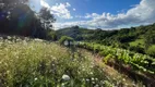 Foto 11 de Lote/Terreno à venda, 140000m² em Sao Valentin, Bento Gonçalves