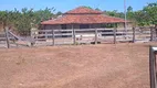 Foto 9 de Fazenda/Sítio à venda, 9776800m² em Rural, Santa Maria das Barreiras