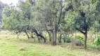 Foto 3 de Fazenda/Sítio com 4 Quartos à venda, 30250m² em Bugre, Balsa Nova