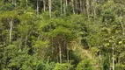 Foto 25 de Fazenda/Sítio com 2 Quartos à venda, 80000m² em , José Boiteux