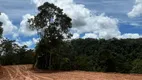 Foto 3 de Fazenda/Sítio à venda, 15000m² em Zona Rural, Santa Teresa