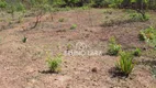 Foto 12 de Fazenda/Sítio com 8 Quartos à venda, 150000m² em , Igarapé