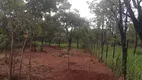 Foto 14 de Lote/Terreno à venda, 442m² em Zona Rural, Felixlândia