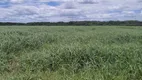 Foto 2 de Fazenda/Sítio com 4 Quartos à venda, 570000m² em Monte Alegre, Monte Alegre