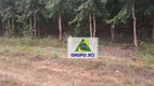 Foto 42 de Fazenda/Sítio à venda, 63000000m² em Zona Rural, São Romão