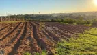 Foto 5 de Fazenda/Sítio com 4 Quartos à venda, 500m² em Reforma Agraria, Valinhos