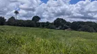 Foto 24 de Fazenda/Sítio com 3 Quartos à venda, 3750000m² em Centro, São Miguel do Guamá